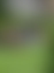 מעגל מחנכים: חיבור בתוך הבדידות