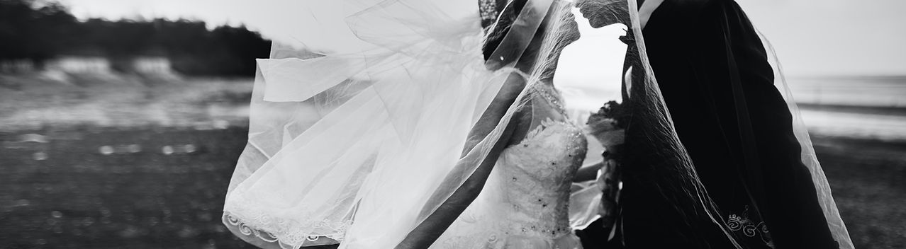 Image by Hisu lee