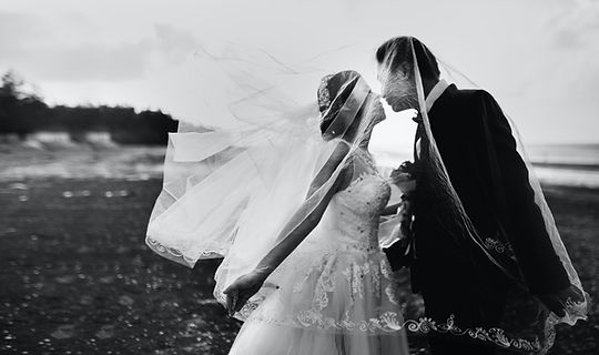 Image by Hisu lee