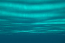 Image by Sime Basioli