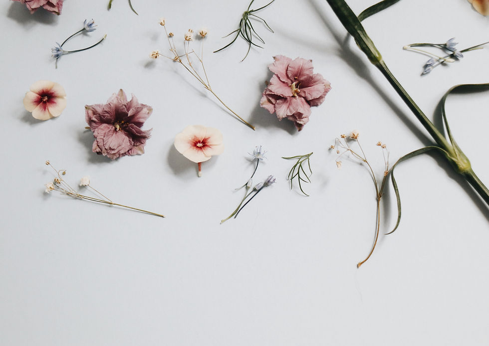 Image by The Creative Exchange