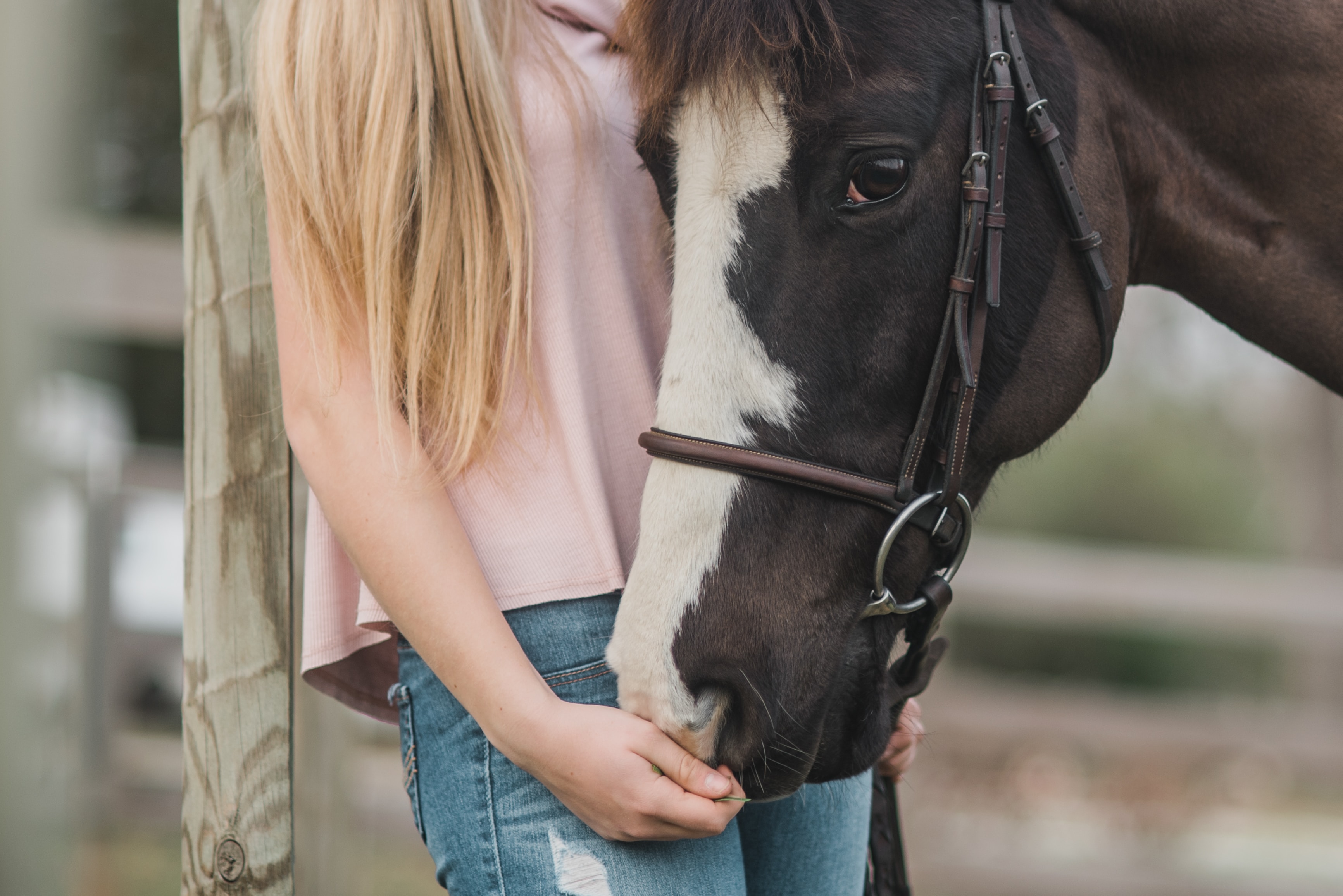 Image by Kirsten LaChance
