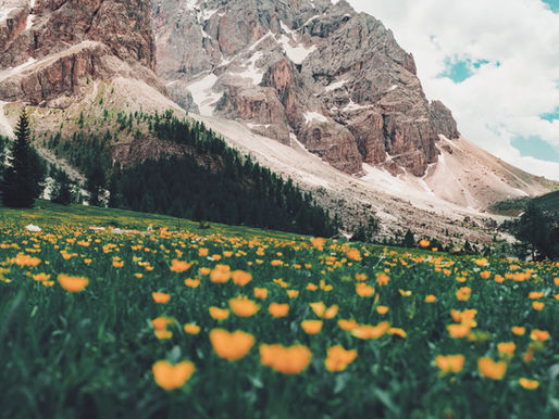 Earth Magick: Bringing the Outside In with Everyday Nature Rituals