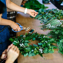 Image by Hillary Ungson