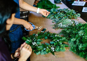 Image by Hillary Ungson