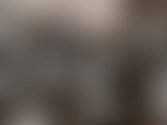 How Do Bodies Decompose: a Writer's Guide to Murder