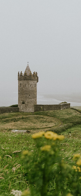 İrlanda Doğası