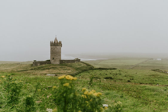 Image by Aldo De La Paz