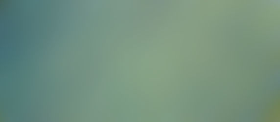 USB è onorata di comunicare di essere stata accettata come membro della “European Solar PV Industry Alliance”
