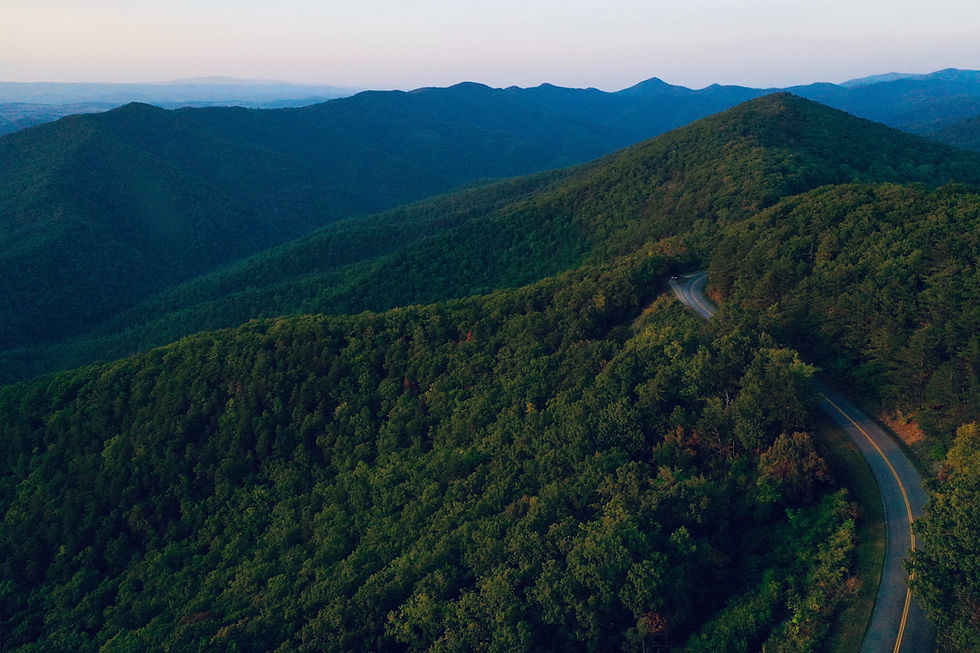 Image by Mitchell Kmetz