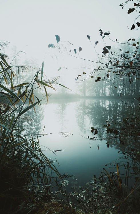 Image by Markus Spiske