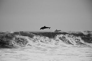 Image by Jeremy Ricketts