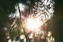 Image by Nick West