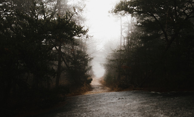Image by Andrew Neel