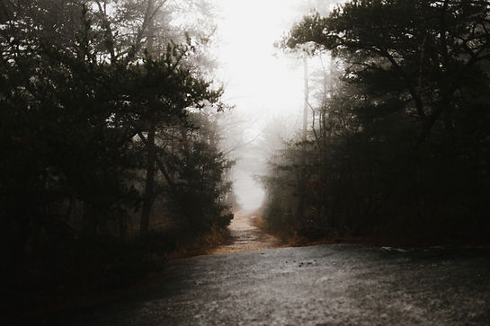 Image by Andrew Neel