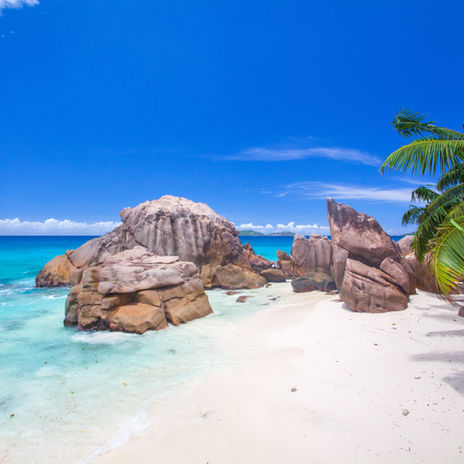 Image by Vitalii Ustymenko