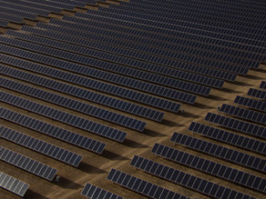 January Newsletter 2021 - Renewable Energy