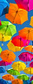 Multilingual Interface