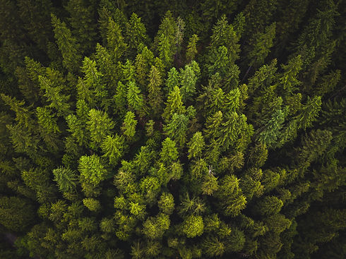 Image by Spencer Watson