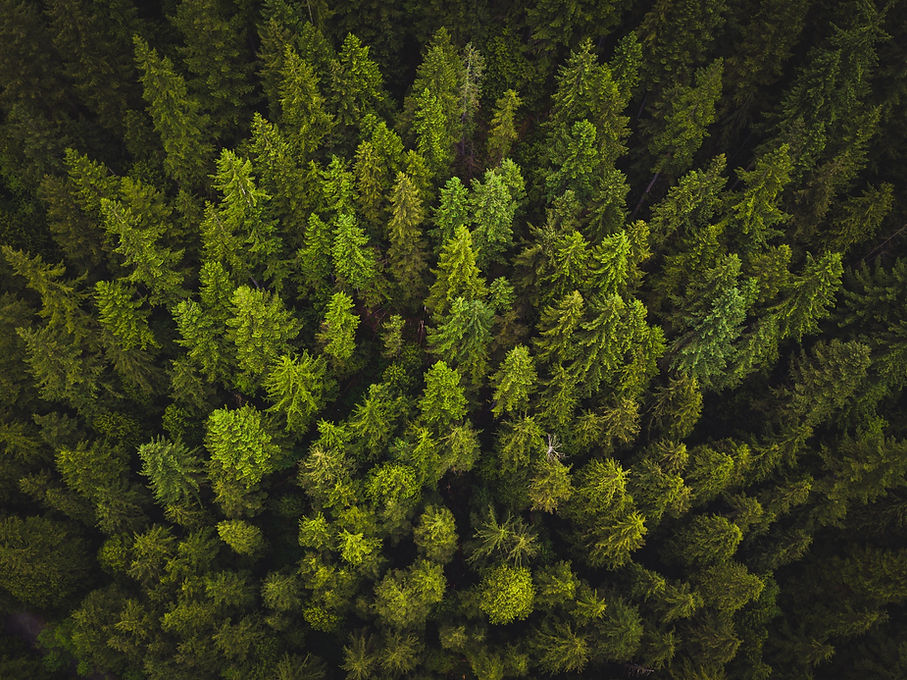 Image by Spencer Watson