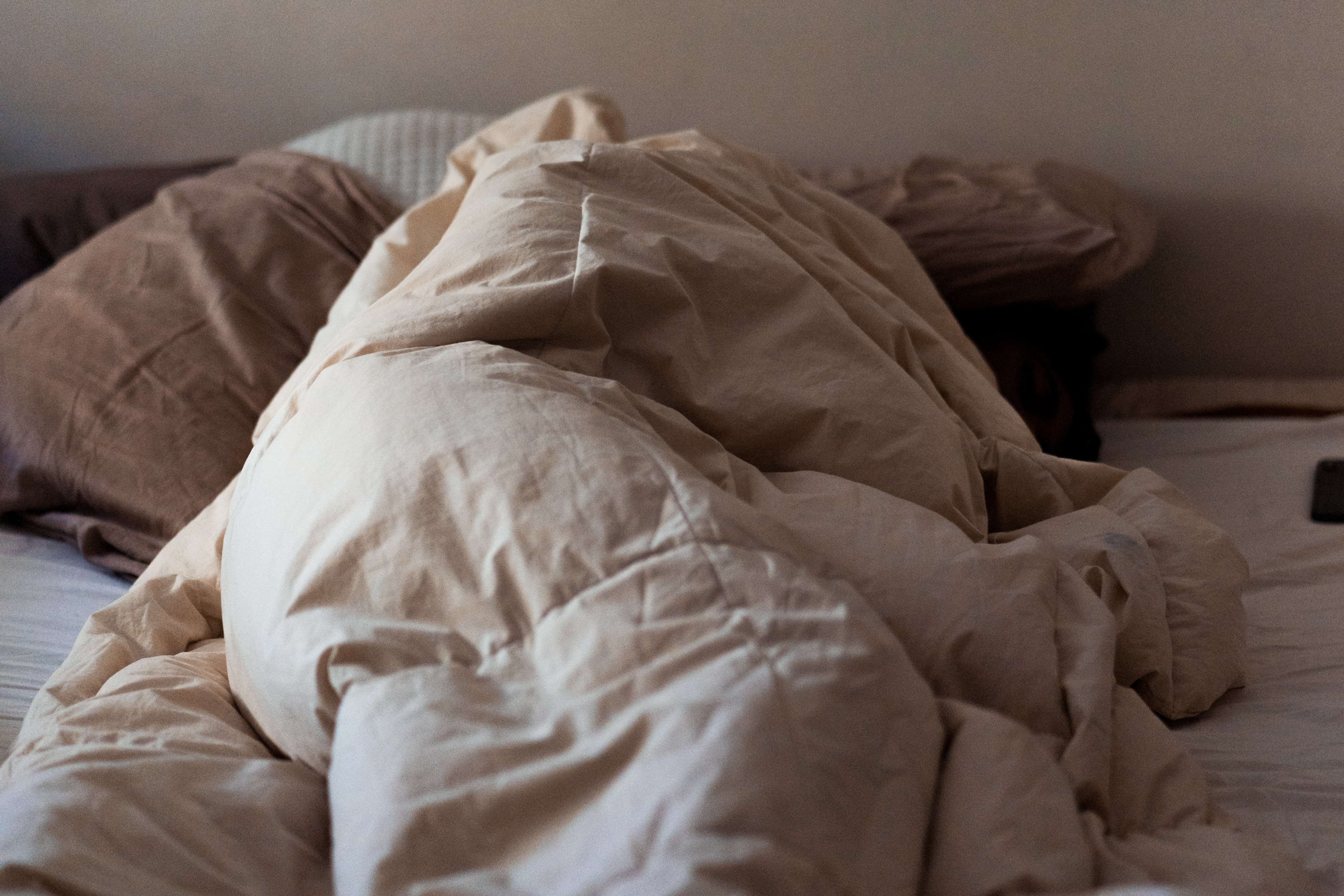 Cocooning: Es wird wieder kuschlig / Foto: Unsplash