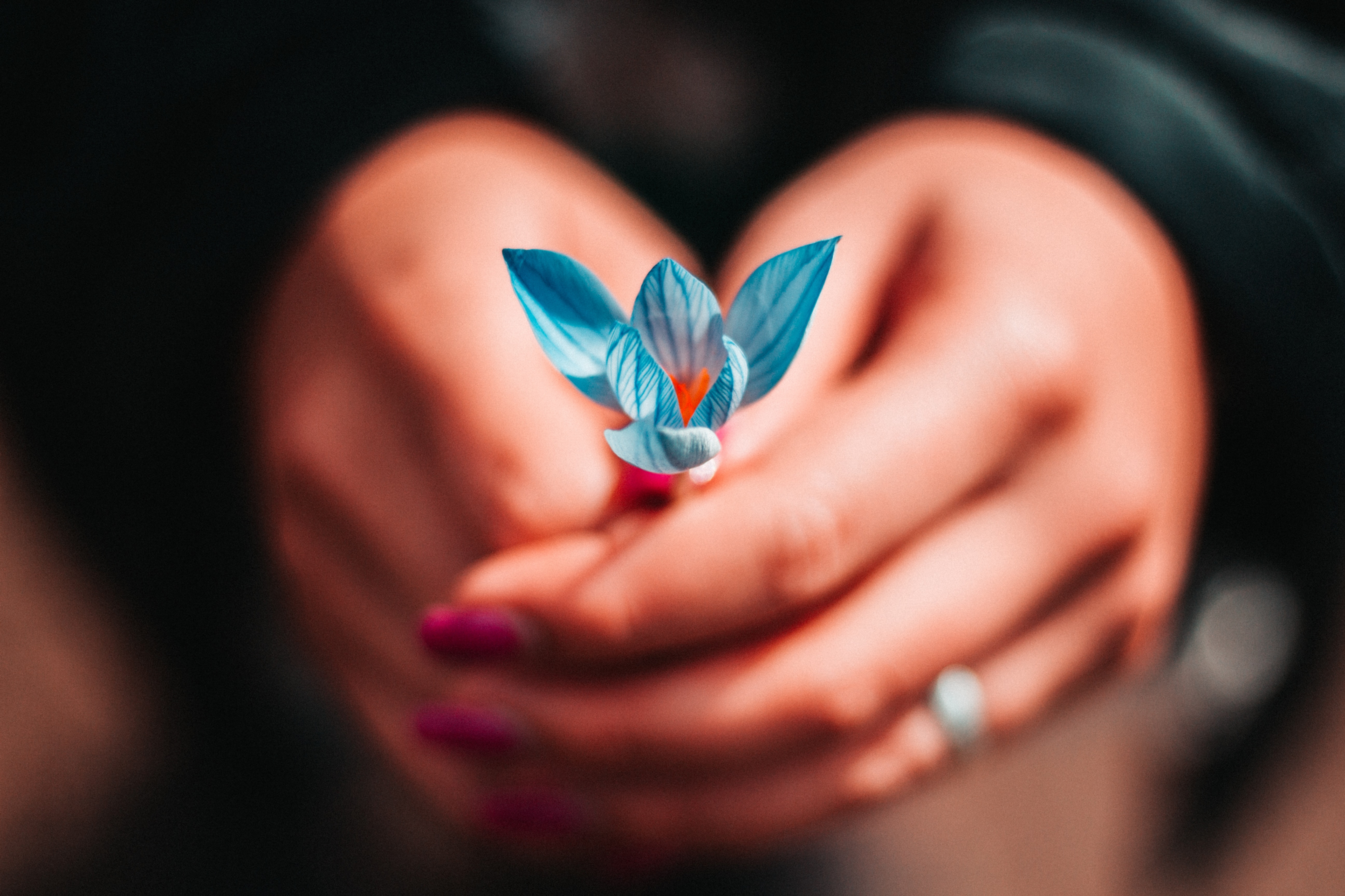 Lightarian Reiki