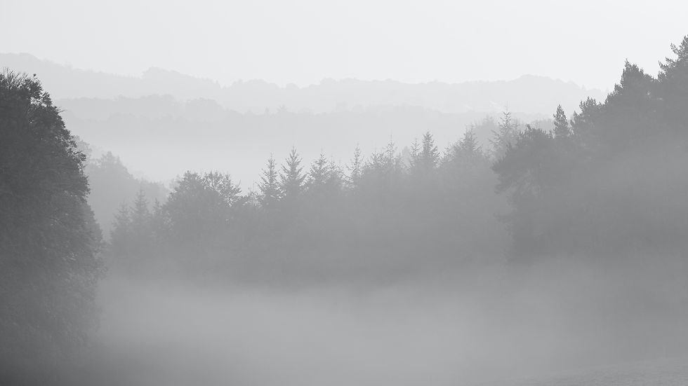 Image by Johny Goerend