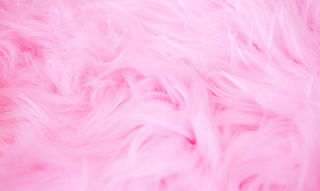 Image by Sharon McCutcheon