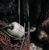 Image by Nathan Lindahl