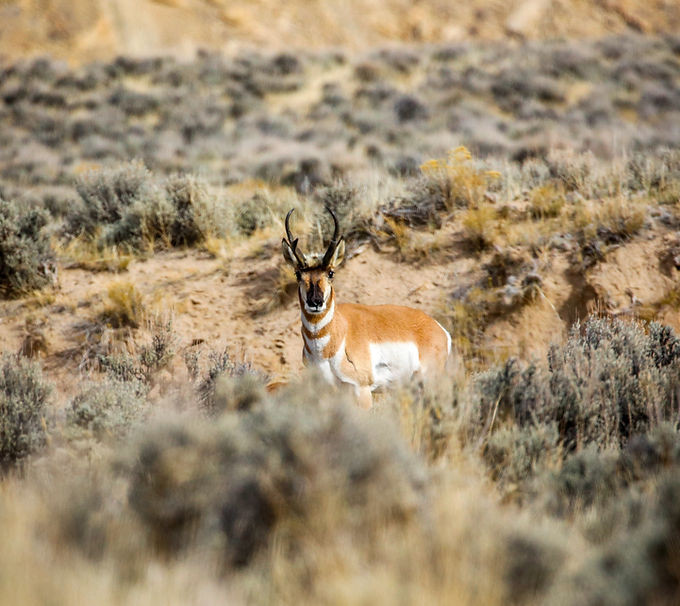 Image by Patrick Hendry