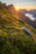 Image by Luke Richardson