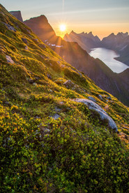 Les îles Lofoten