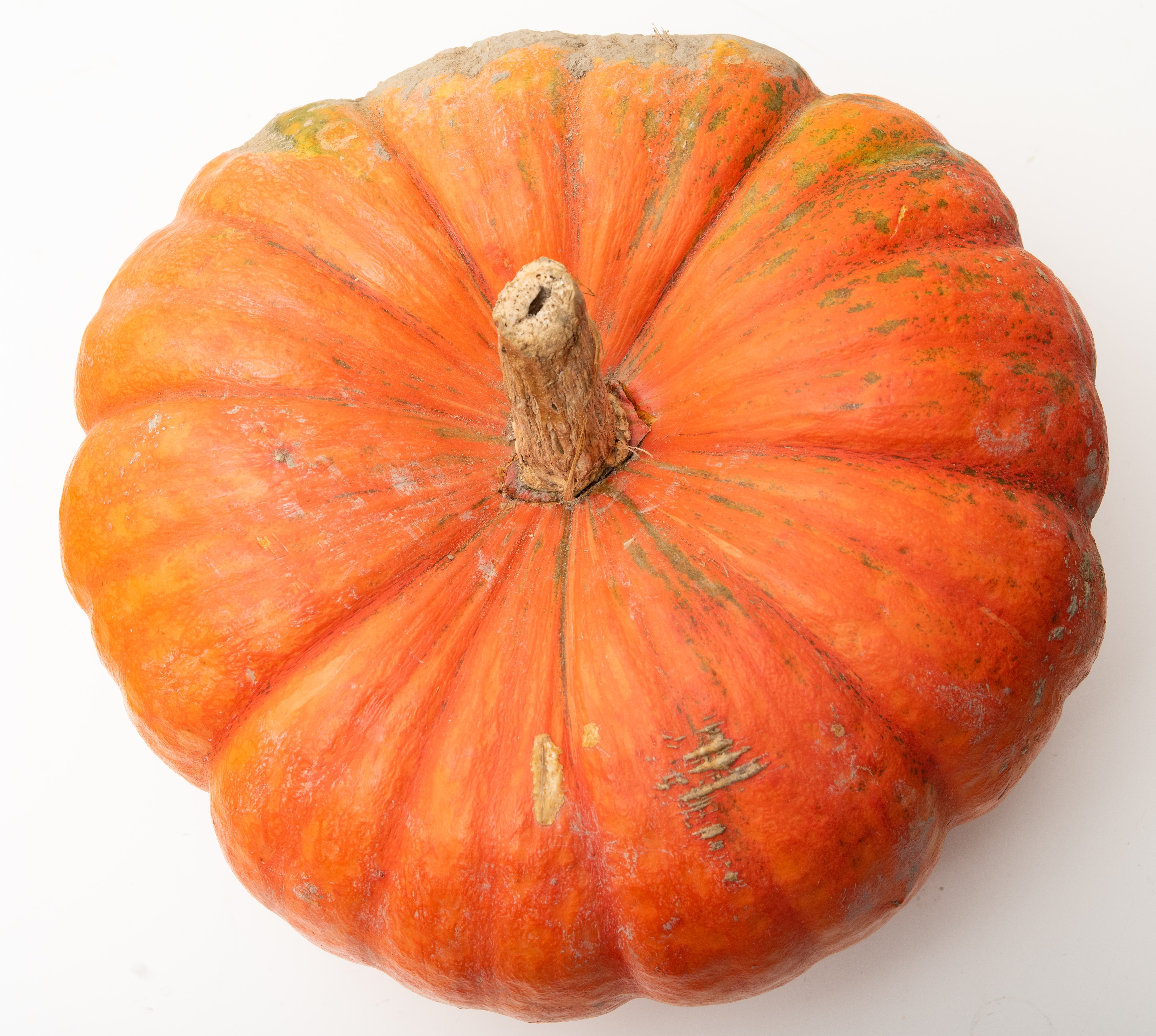 Courge couscous