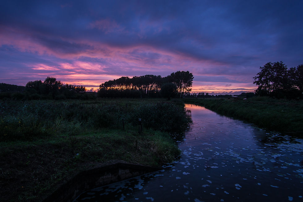 Image by Joran Quinten