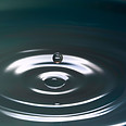 Image by Levi XU