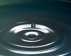 Image by Levi XU