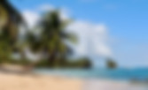 Tropical Beach