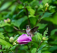 Image by Stephen Walker
