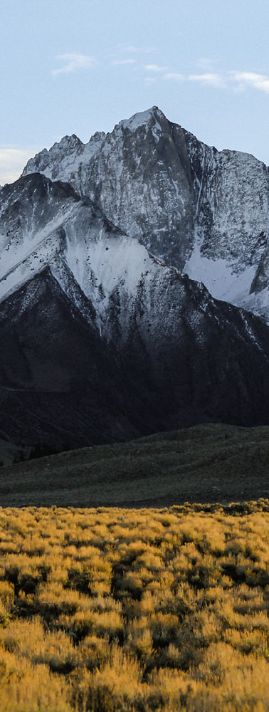 Image by Jeremy Bishop