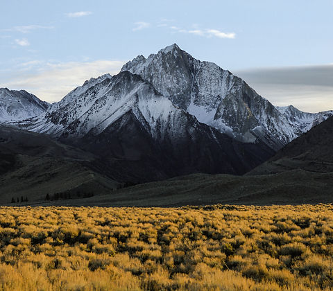 Image by Jeremy Bishop