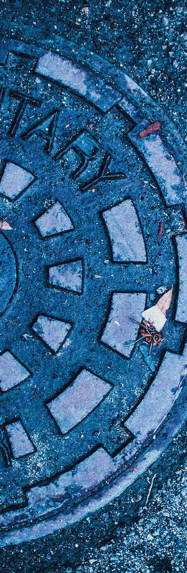 Image by Eliobed Suarez