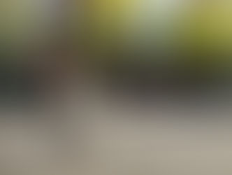 Scooter im Strassenverkehr