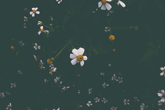 Image by Larm Rmah