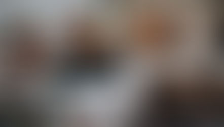 The Mite–Pet Connection: Are Your Animals Carrying Unwanted Guests?