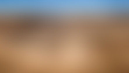 „JinkoSolar veröffentlicht Q3 Zahlen!!“