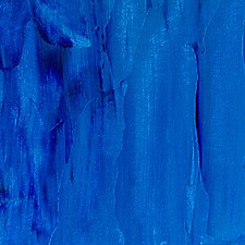 Image by Steve Johnson