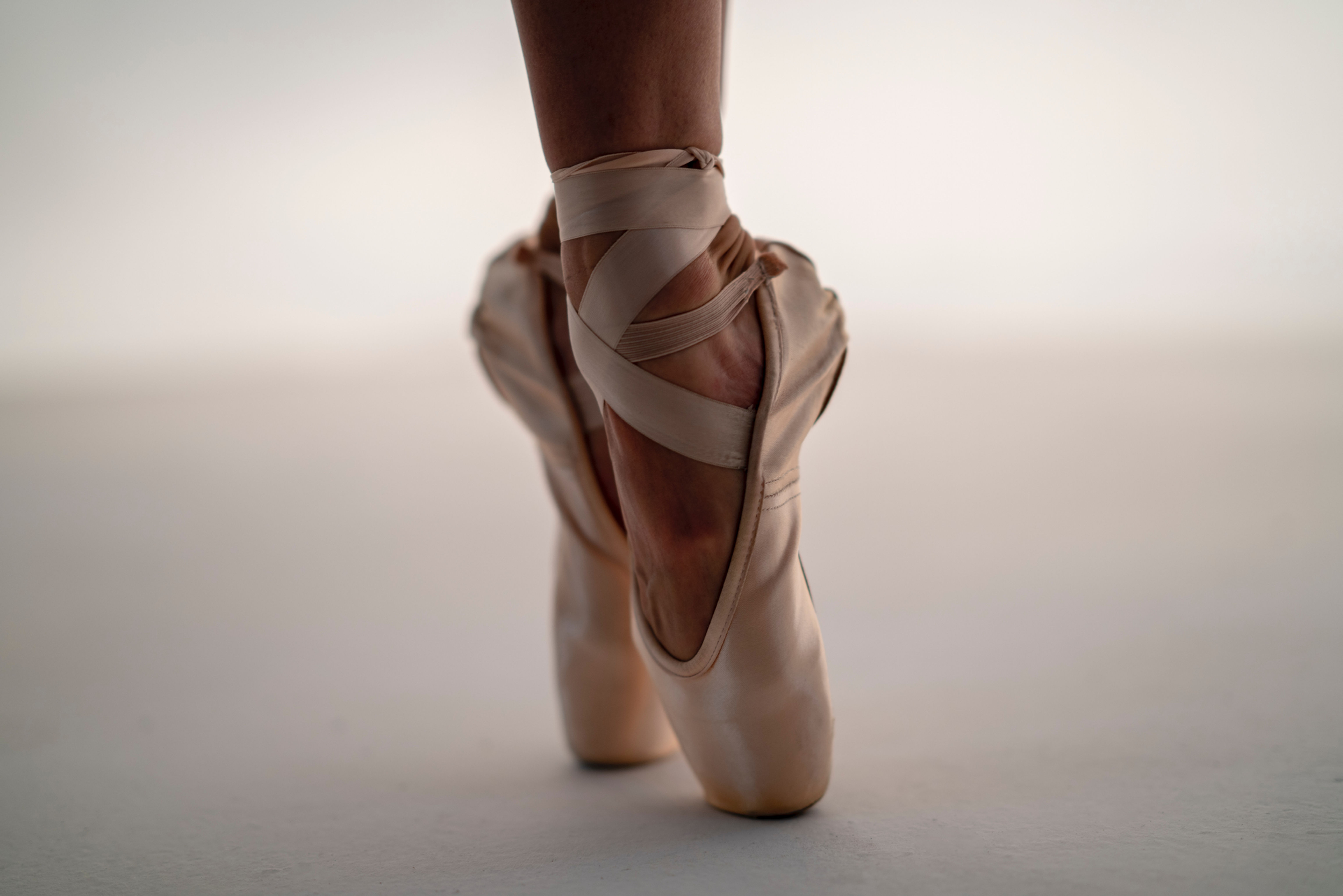 One Pair of Pointe Shoes