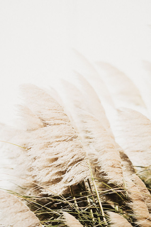 Image by Annie Spratt
