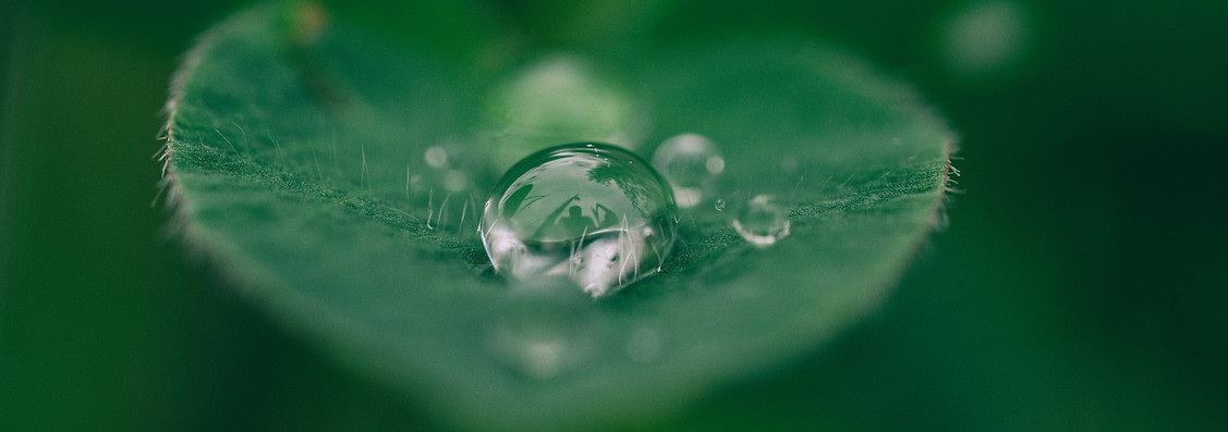 Image by Aaron Burden