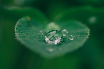 Image by Aaron Burden